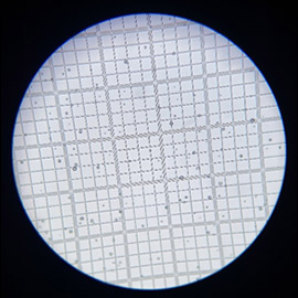 Vue microscope filtre coton Apothicom