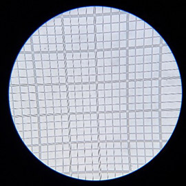 Microscopic view - Sterifilt filters